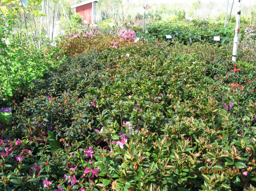 Kinsey Family Farm-盖恩斯维尔必去景点