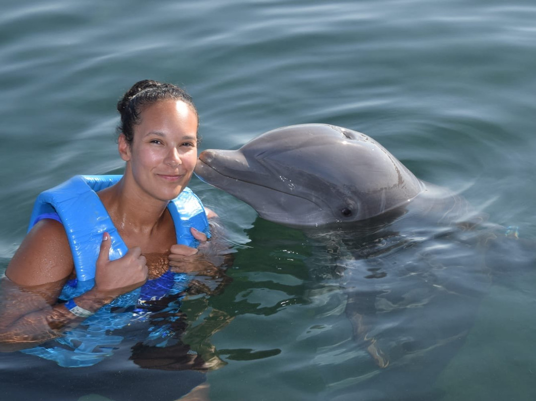 Dolphinaris Riviera Maya Park景点图片