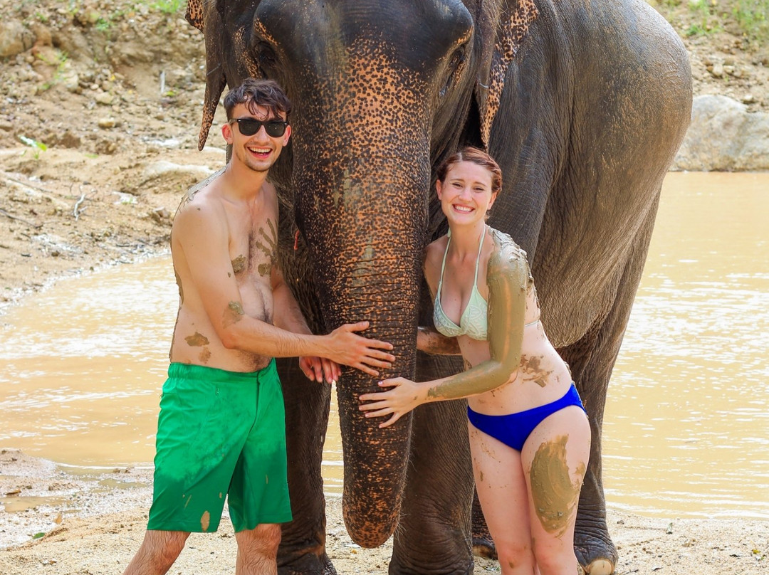 Elephants At 9 Dee Phuket-呈塔累必去景点