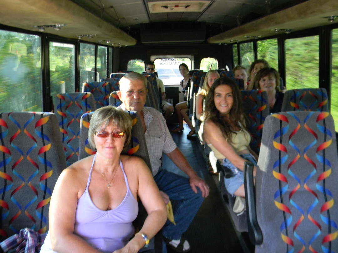 Pauley Charter and Adventure Tours-Vernon Bridge必去景点