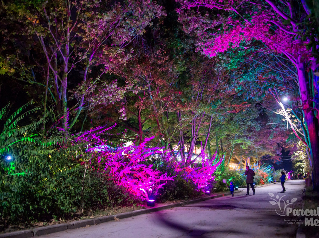 Calorful Alley-基希讷乌必去景点