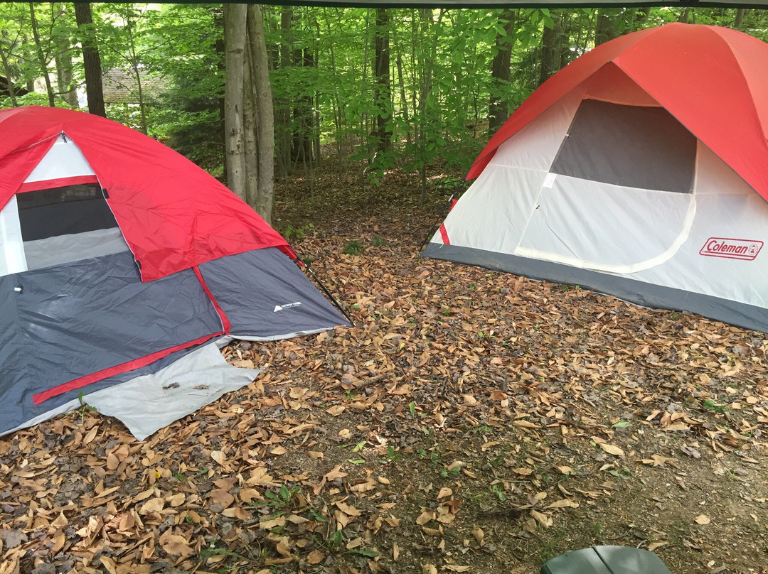 Potter County Family Campground