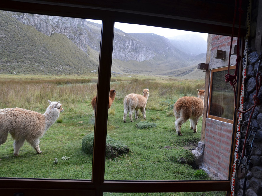 Guamote酒店住宿-Hosteria Chimborazo