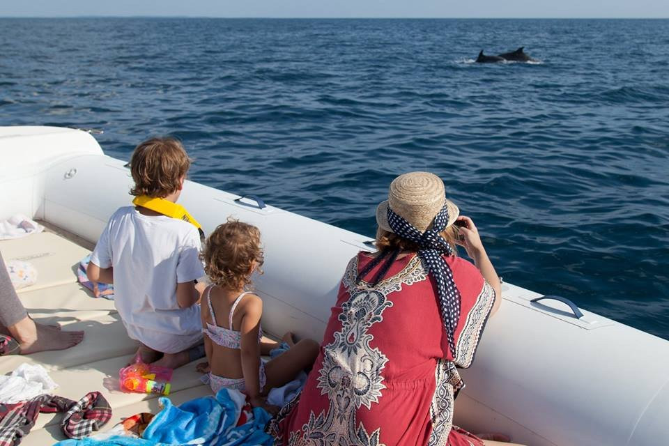 Dolphin Watching Rovinj-罗维尼必去景点