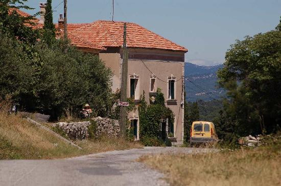 Domaine des Anges Vineyard