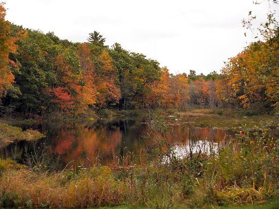 Whitefield旅游攻略图片