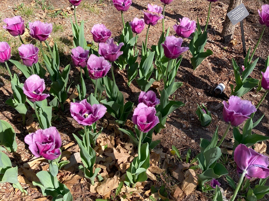 Bartlett Arboretum-Belle Plaine必去景点