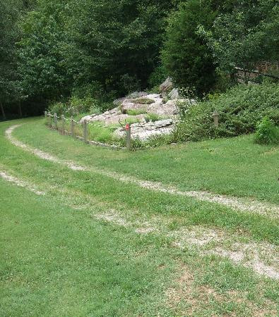 Asheville Botanical Garden景点图片