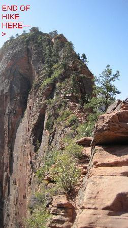 Zion's Main Canyon景点图片