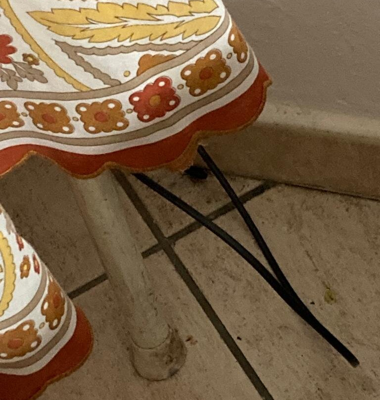 Cannone D'oro Albergo主图