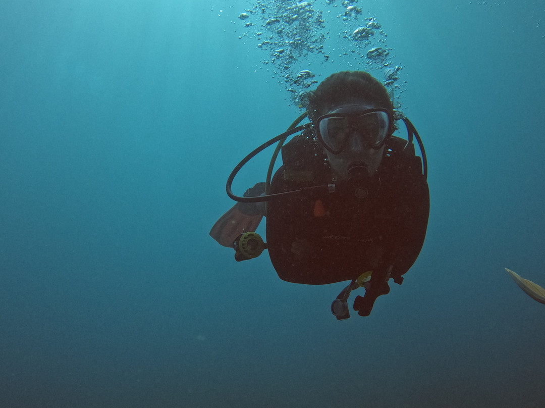 Siren Diving Lembongan-蓝梦岛必去景点