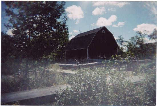 弗里德里克梅雅公园与雕塑公园-大急流市必去景点