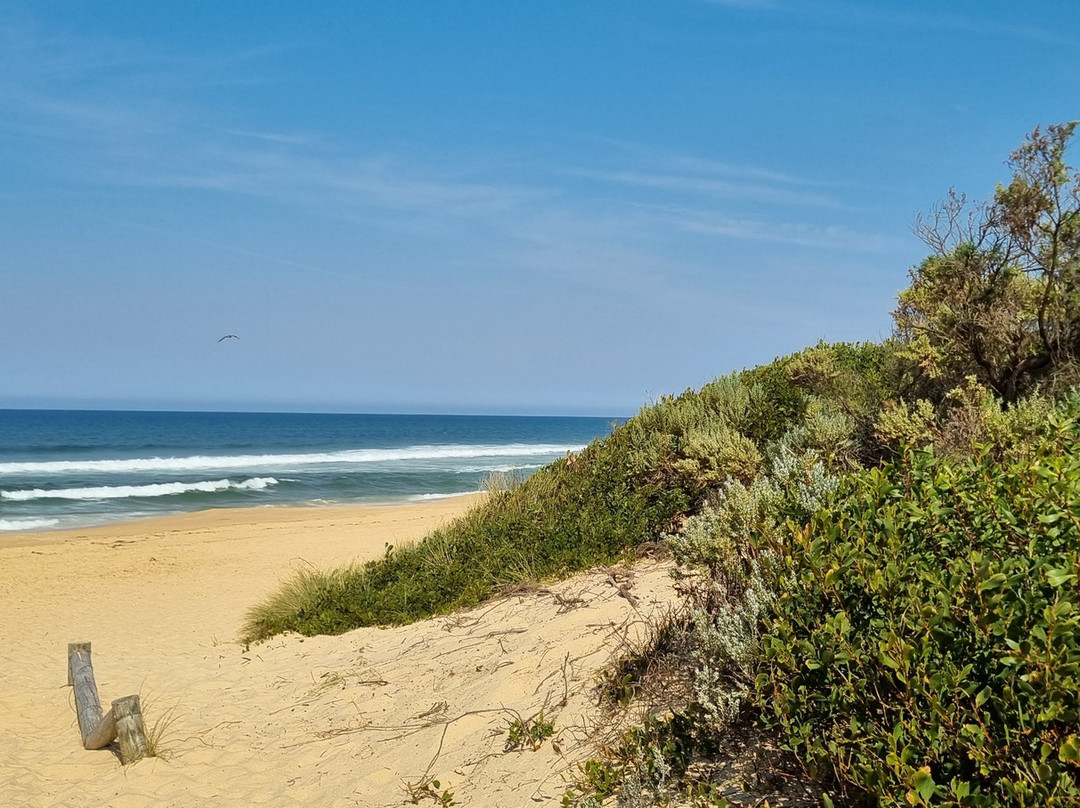 Eastern Beach景点图片