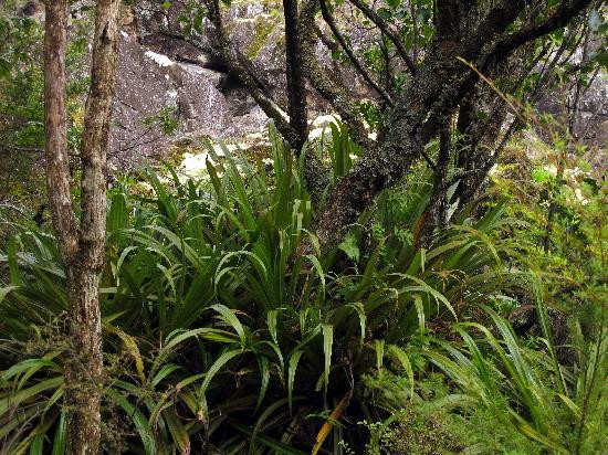 Wairere Boulders-Horeke必去景点