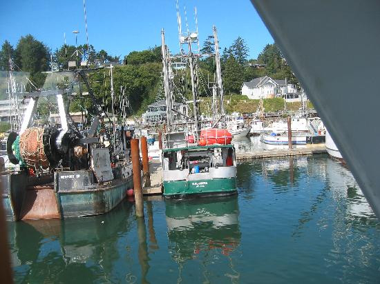 Marine Discovery Tours-纽波特必去景点