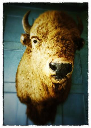 Ministers Island-Saint Andrews必去景点