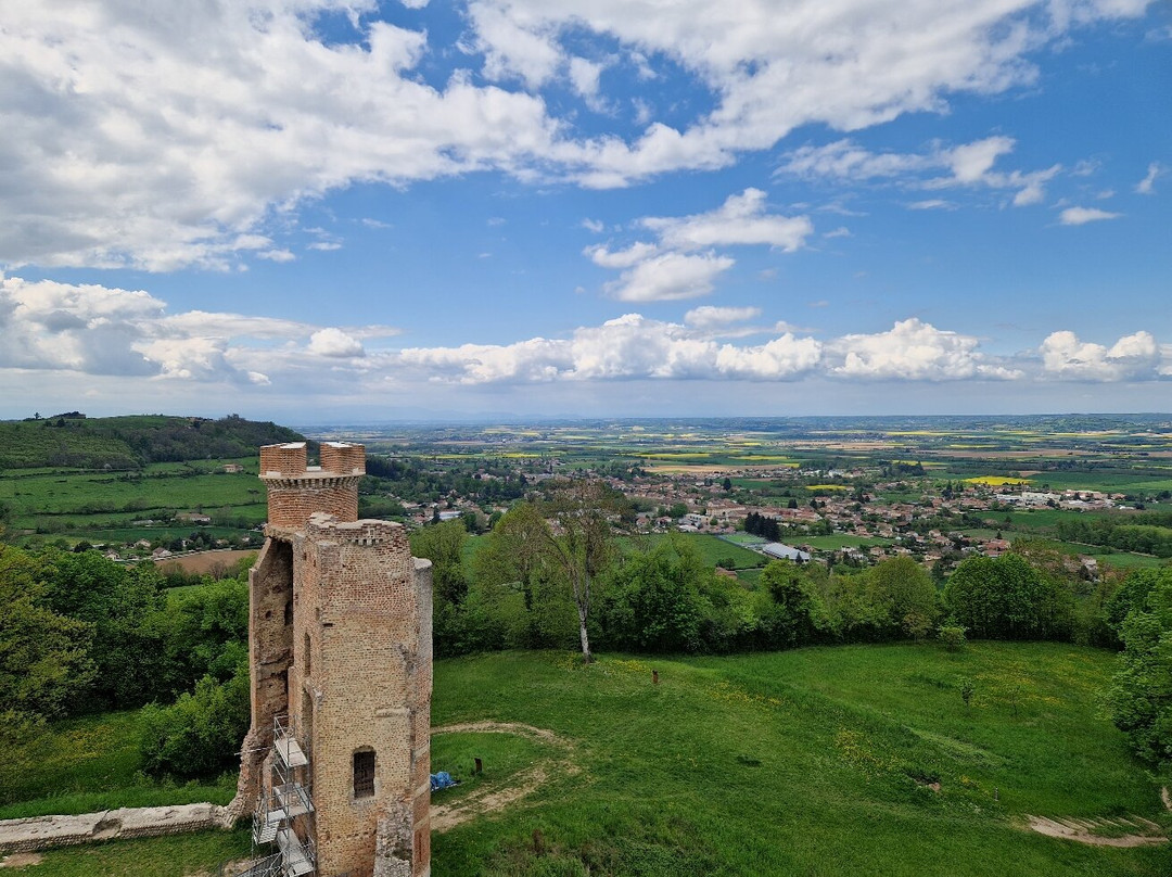 Chateau de Bressieux景点图片