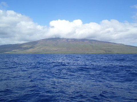 Sail Maui-拉海纳必去景点