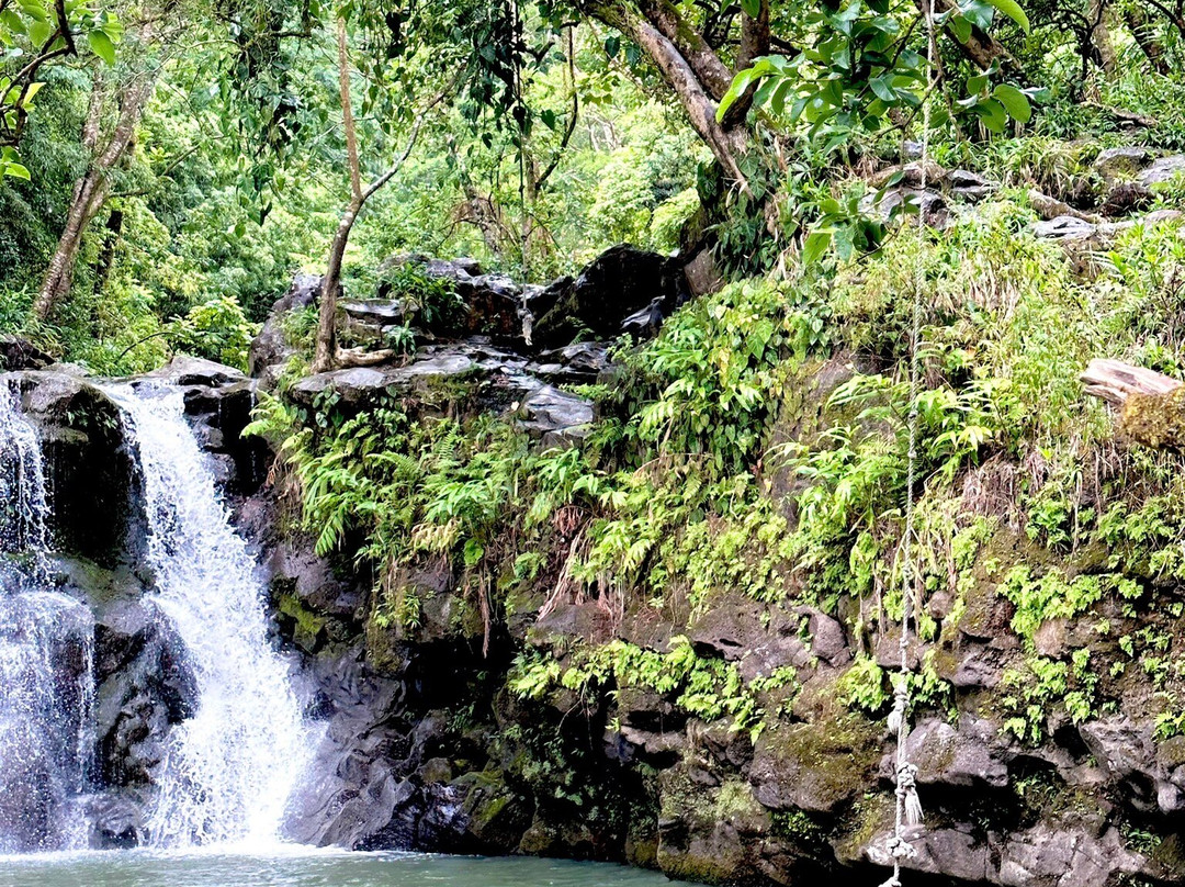 Maui Radiant Tours-拉海纳必去景点