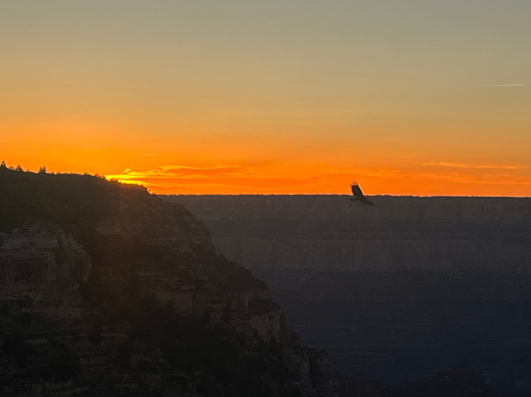 Grand Canyon Jeep Tours & Safaris-图萨扬必去景点