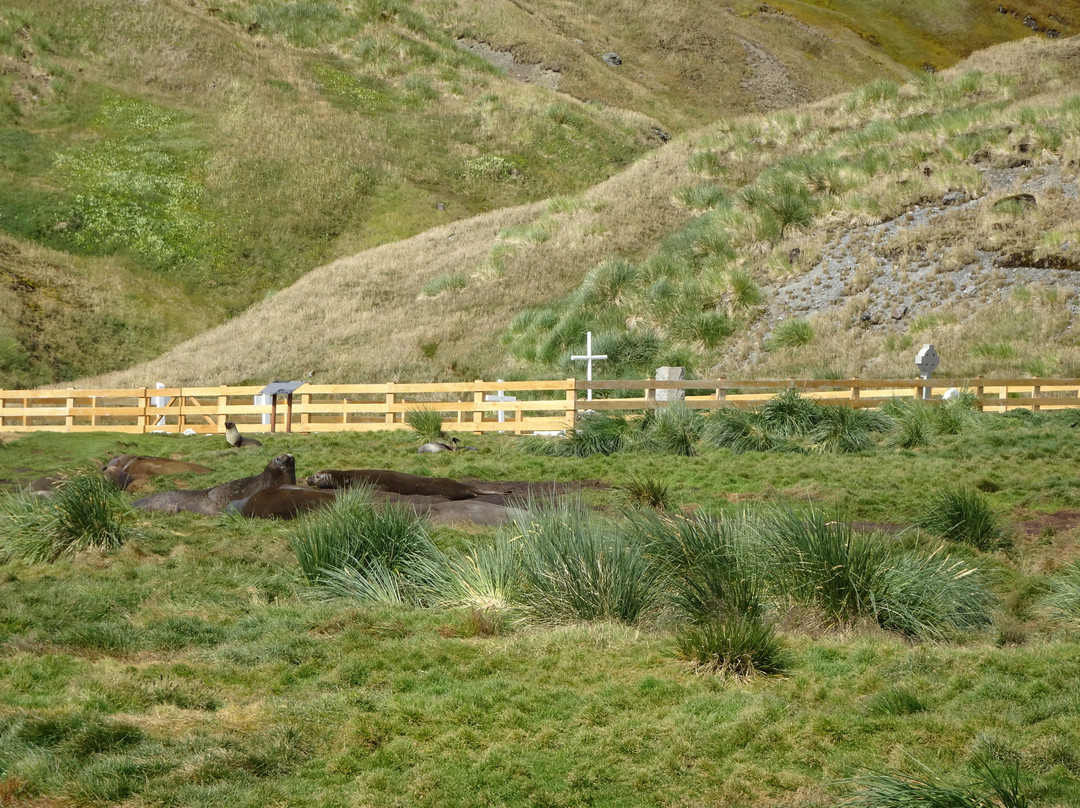 Shackleton's Grave-Grytviken必去景点