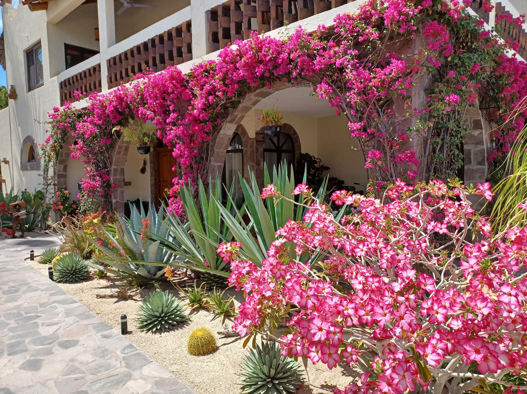 Las Cabanas de Loreto主图