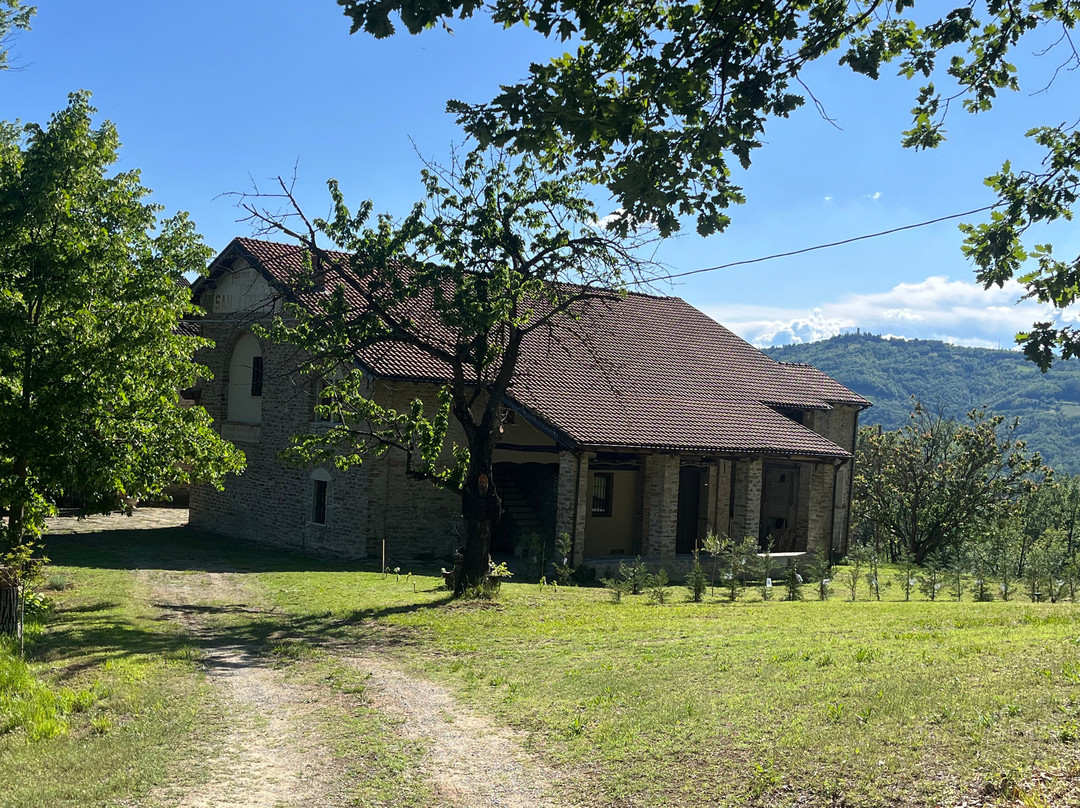 Tenuta San Lorenzo景点图片