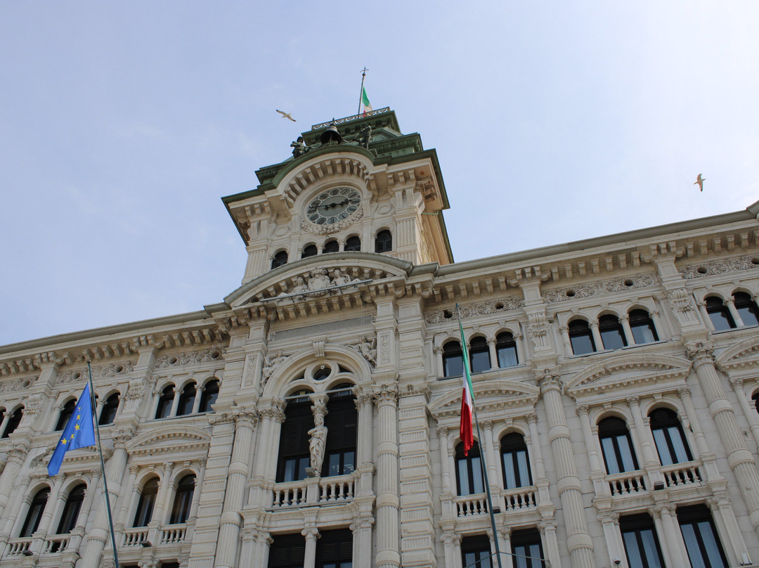 Palazzo del Municipio景点图片