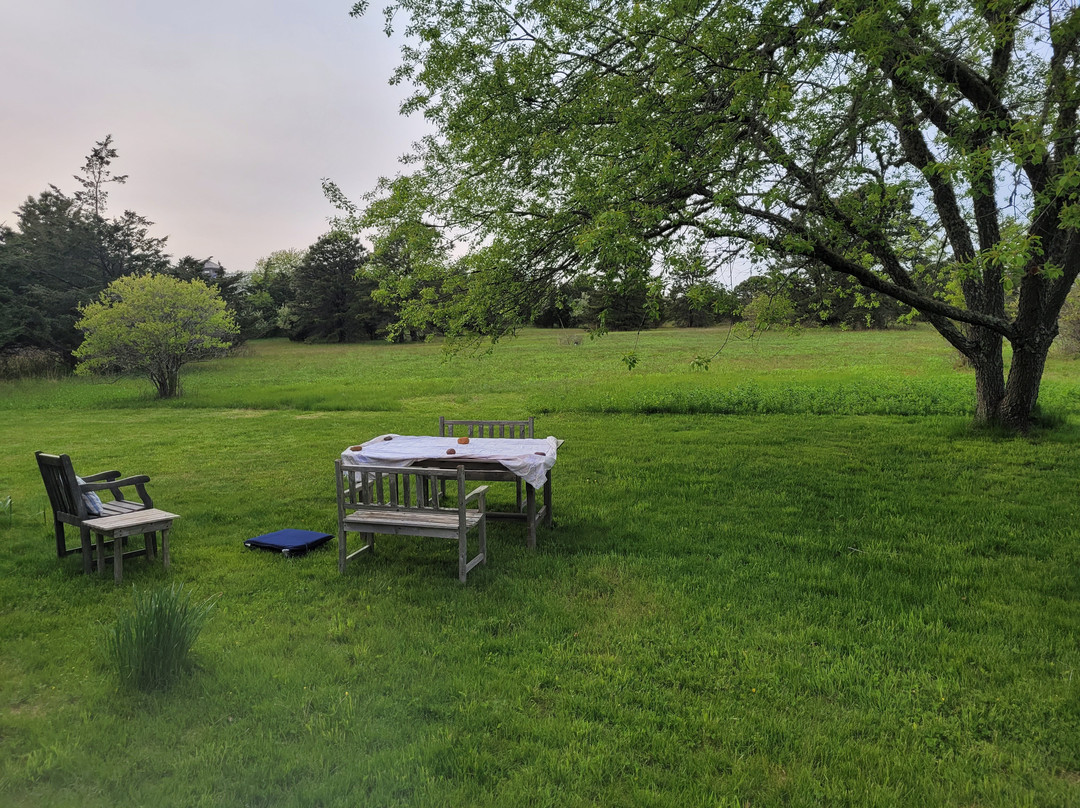 The Broad Meadow Bed & Breakfast主图