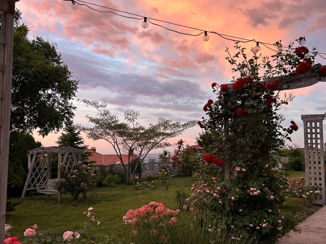 Aleksandria Guest House主图