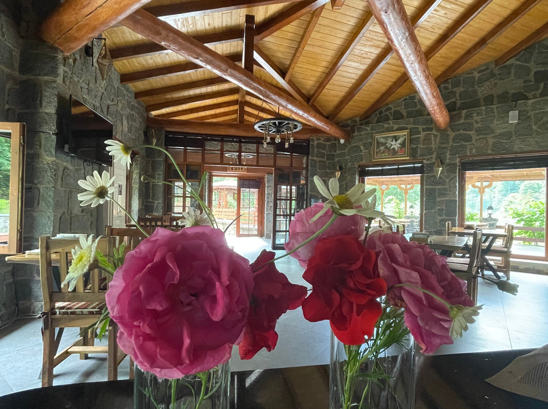 Teona Çağlayan Bungalov主图