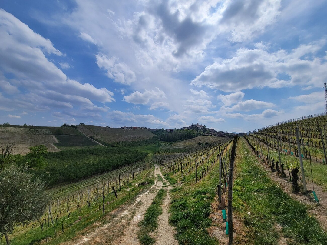 Travel Langhe  Wine Tours-Neive必去景点