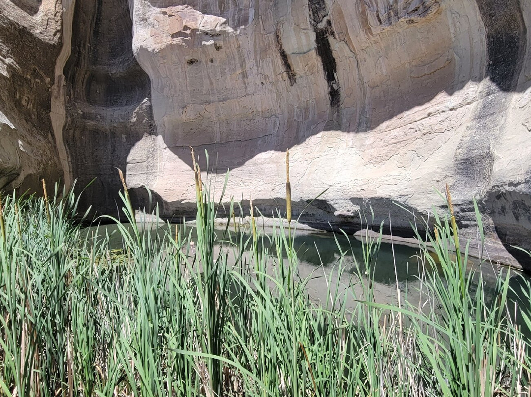 El Morro National Monument-Ramah必去景点