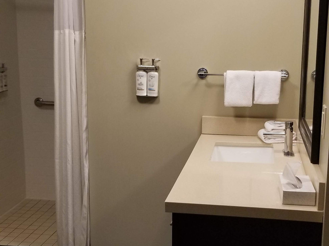 STAYBRIDGE SUITES COLUMBUS POLARIS by IHG主图