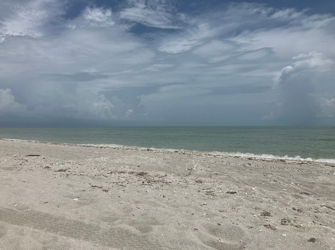 Tarpon Bay Beach景点图片