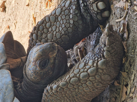 MAGICA ZANZIBAR-桑给巴尔岛必去景点