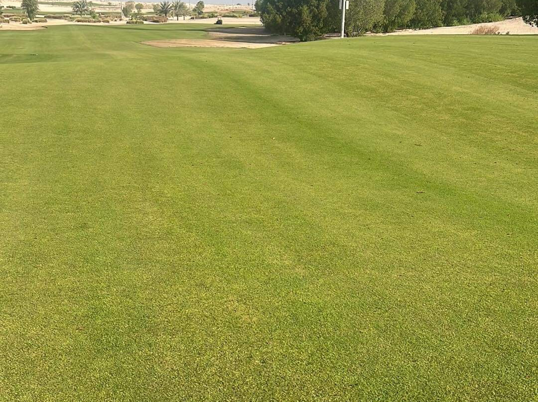 Al Dhannah Golf Club-Al Dhannah City必去景点