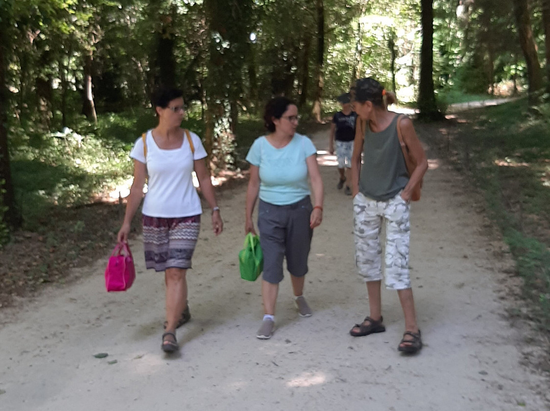 Hotel Presenza主图