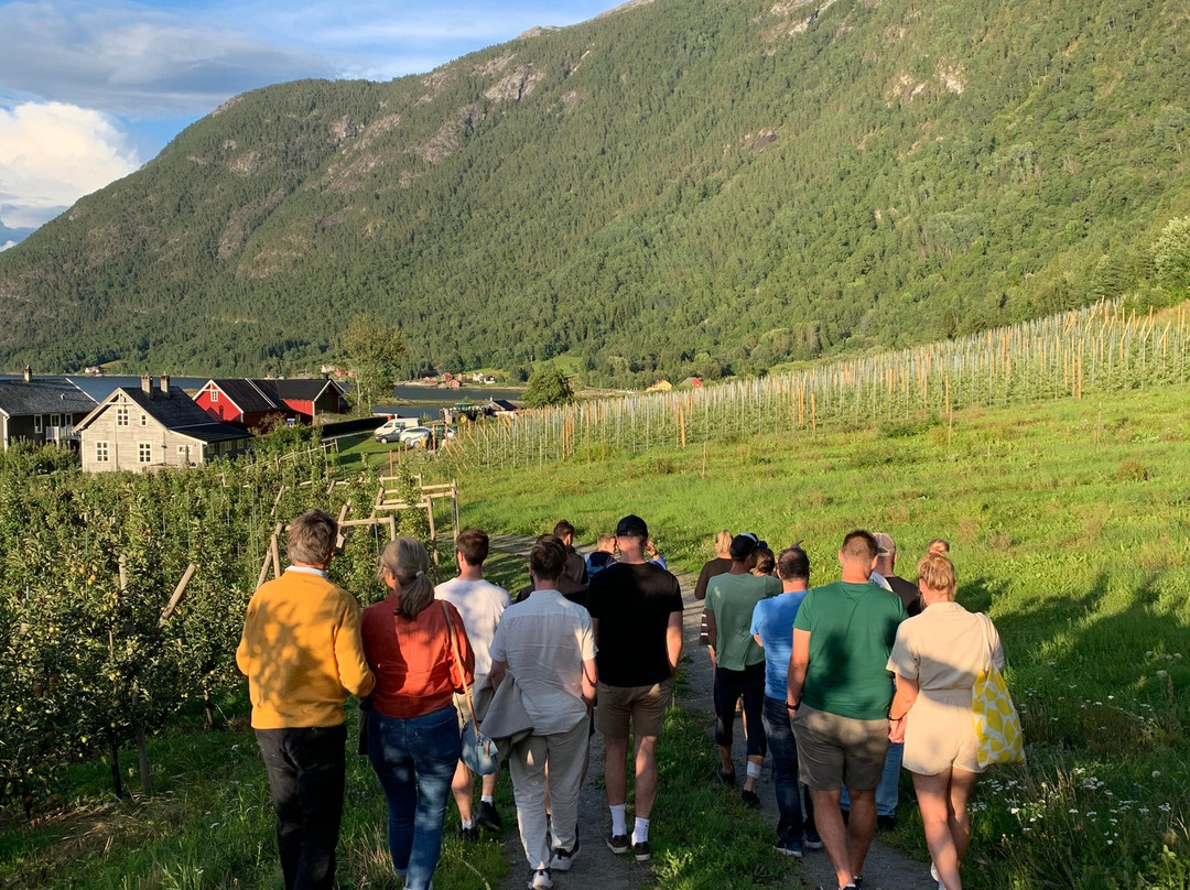 Fresvik旅游攻略图片