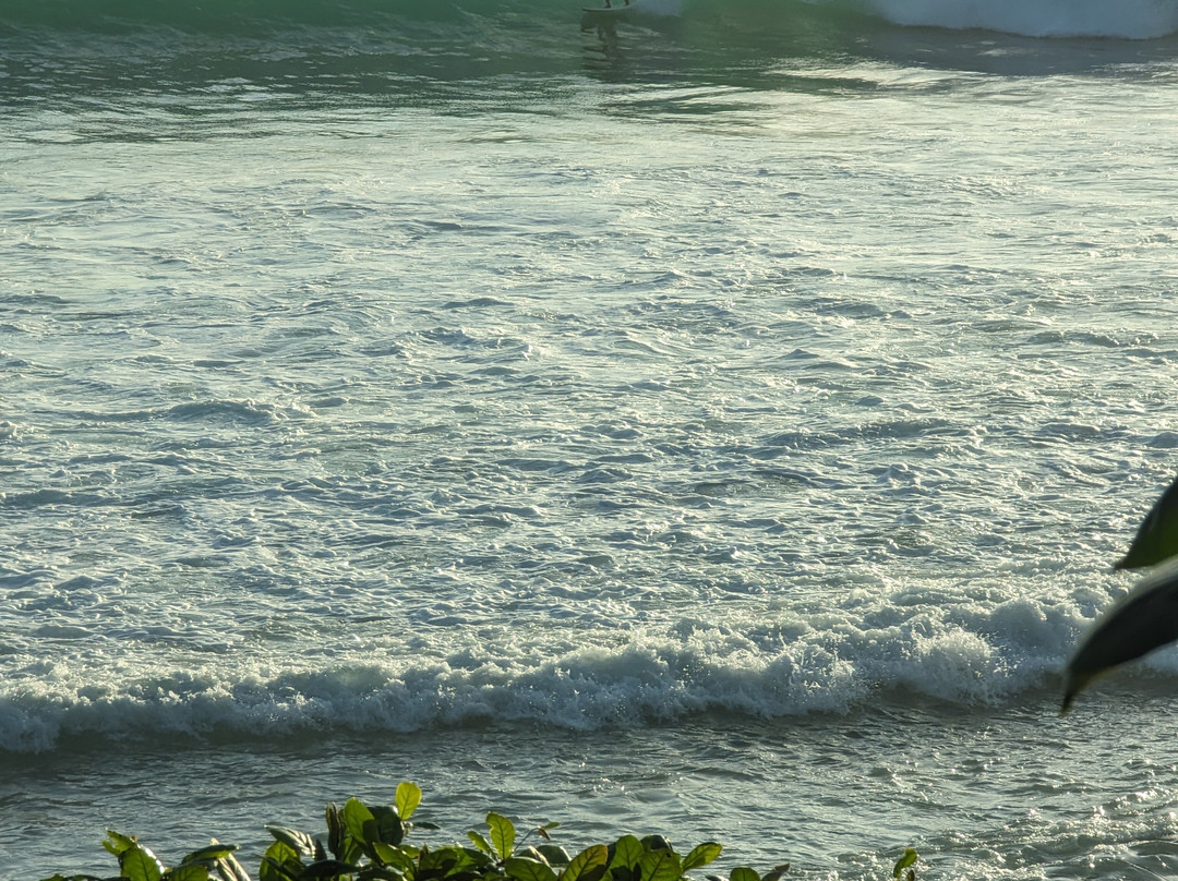 Mentawai Surf Retreat®主图