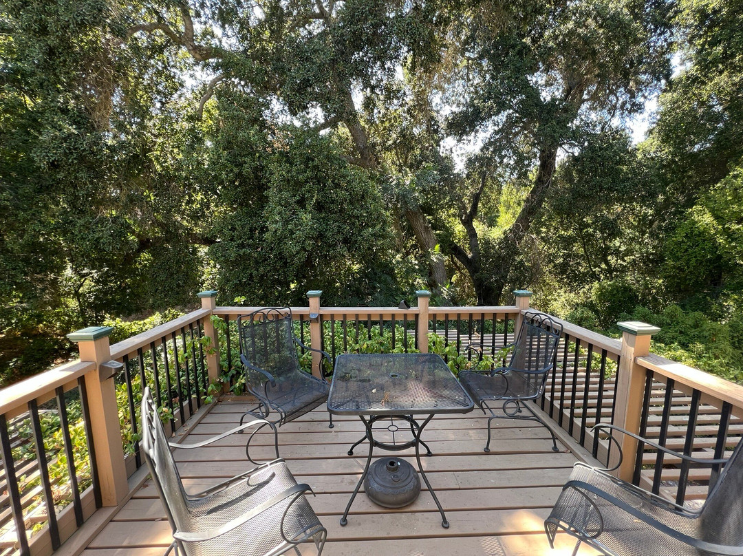 The Eden House Vineyard主图