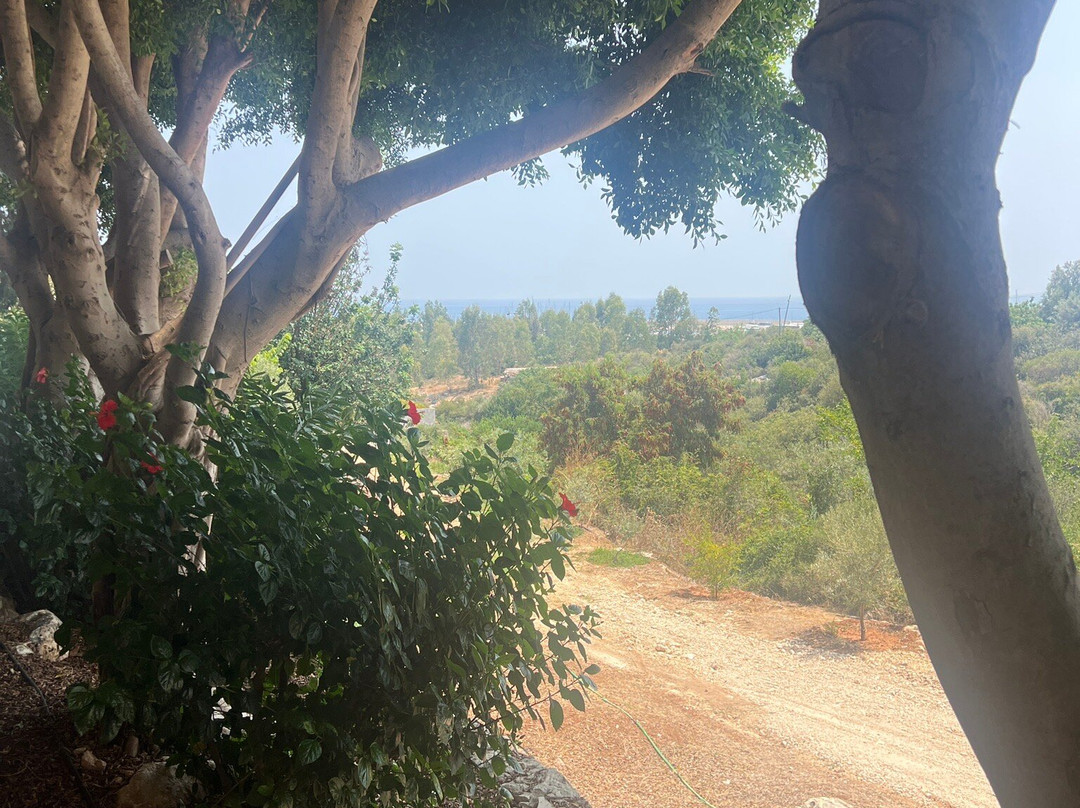 Olbios Marina Resort主图