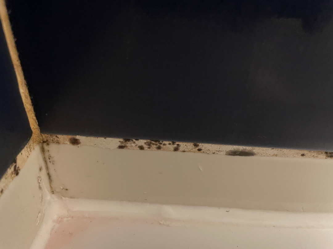 Pierre & Vacances Residence Premium Le Coteau et la Mer主图