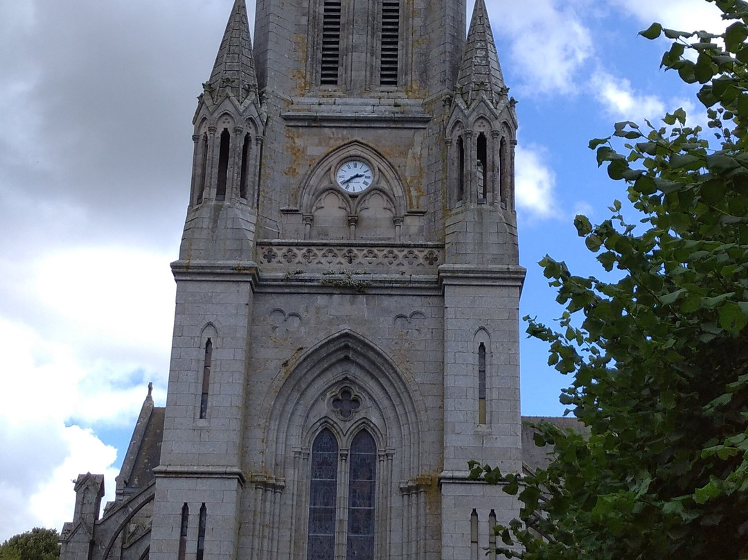 Basilique Notre Dame de Délivrance景点图片