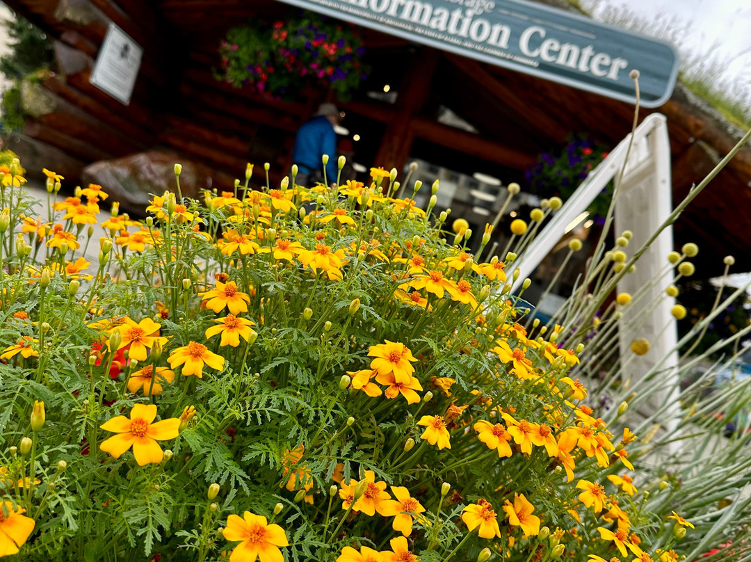 Visit Anchorage Log Cabin Visitor Information Center-安克雷奇必去景点