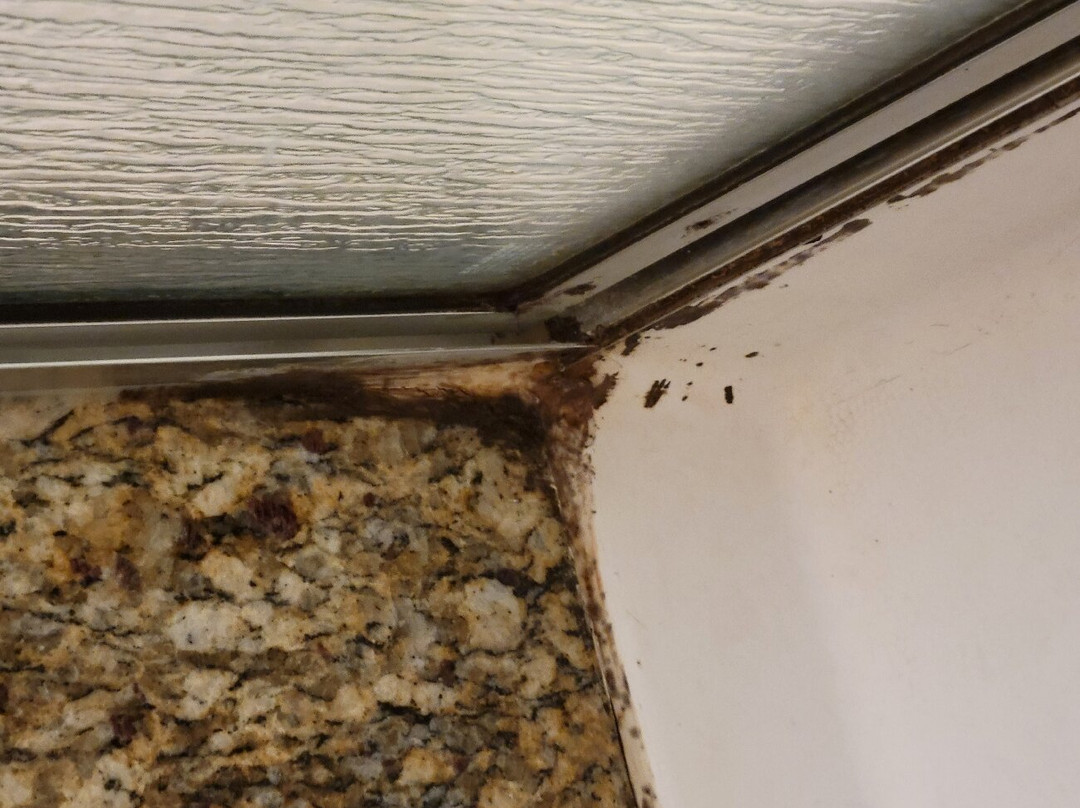 卡尔弗城旅居酒店主图