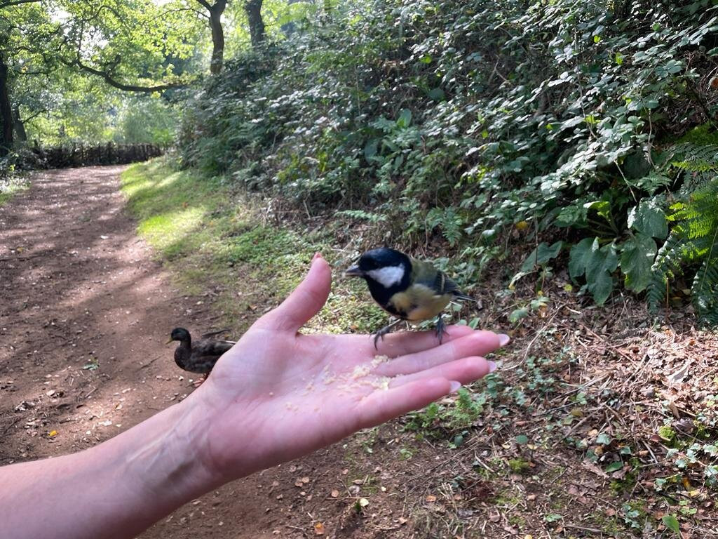 Alverstone Mead Nature Reserve-桑当必去景点