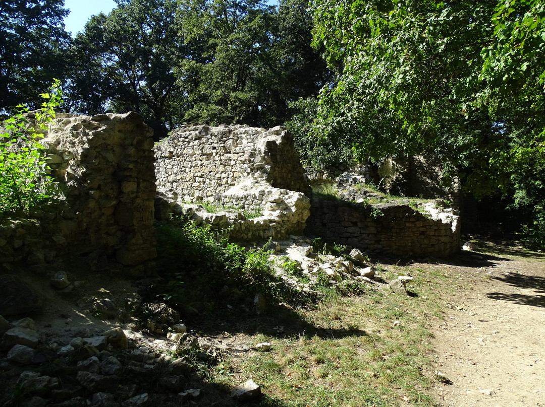 Ruins of the Pauline Monastery景点图片