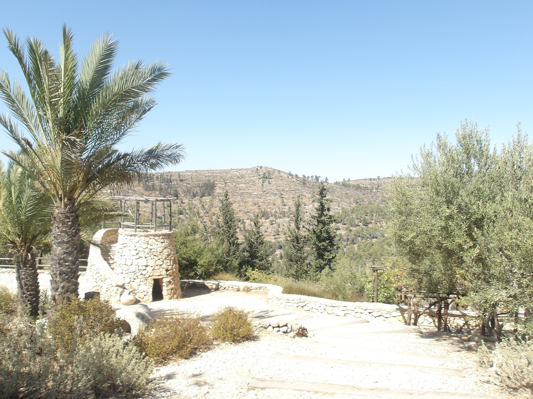 Visiter Israël-特拉维夫必去景点