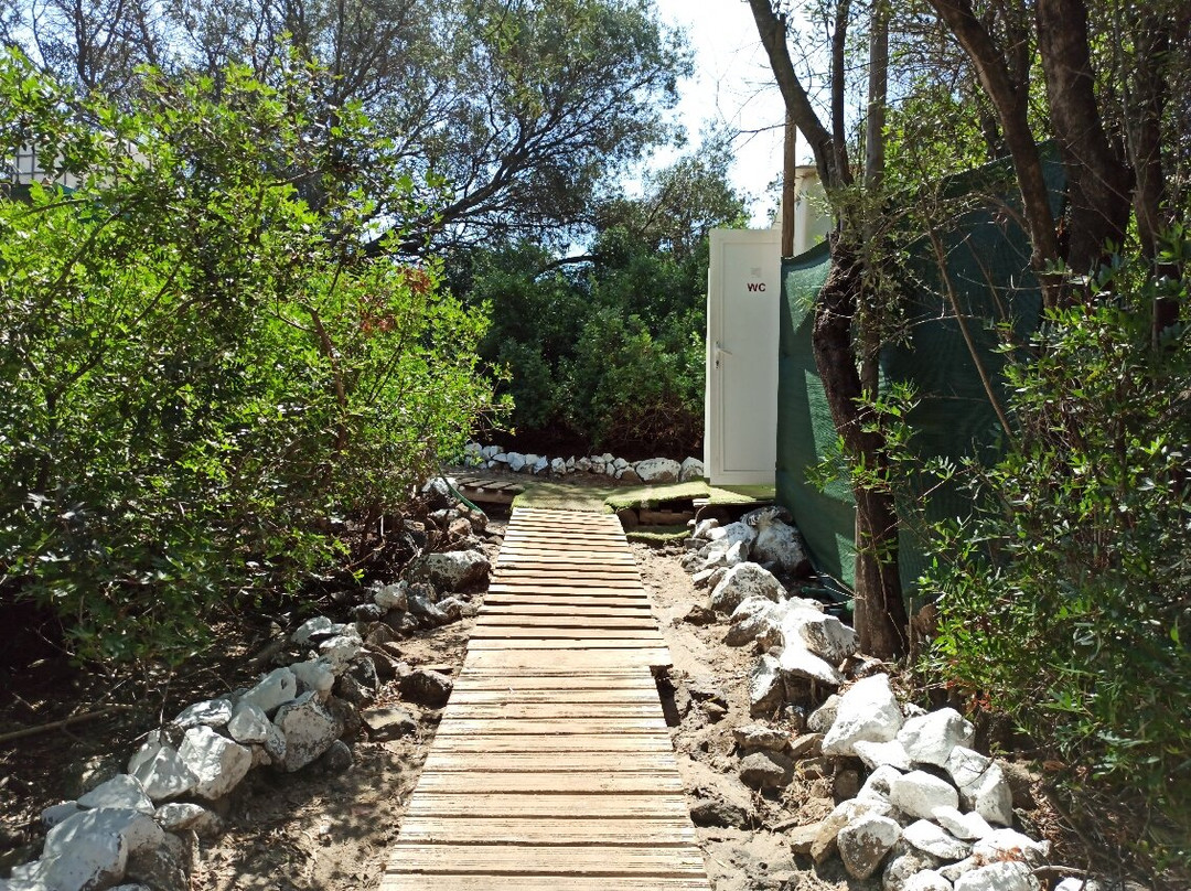 Lichadonisia-Kamena Vourla必去景点